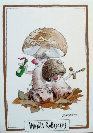 Notre « sortie champignons » annuelle