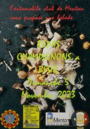Balade Sortie Champignons 2023